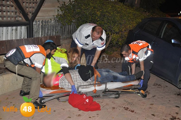 acc 7eshmona2em palmtree (3).JPG